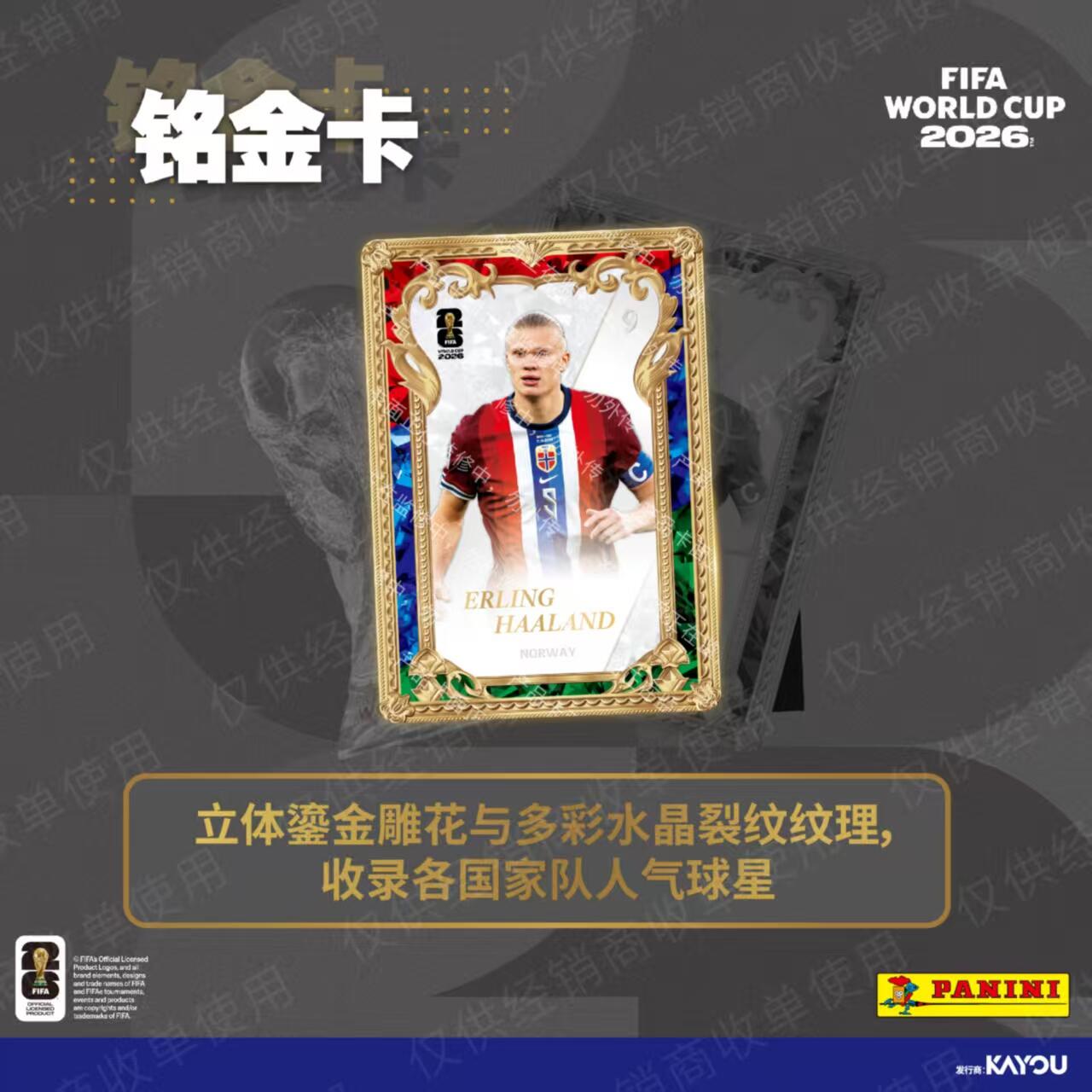 KAYOU Panini FIFA World Cup 20 - Board Game Football 评论和价格